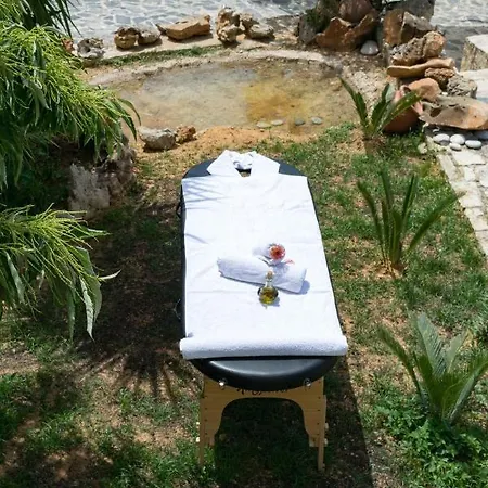 Zisis Villa, Apladiana Mylopotamou Rethymno