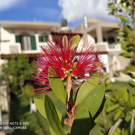Zisis Villa, Apladiana Mylopotamou